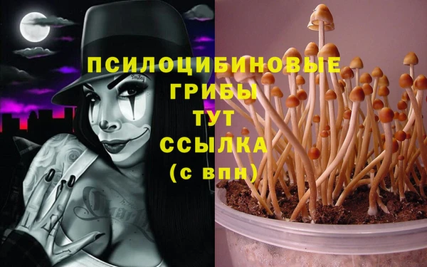 героин Заводоуковск